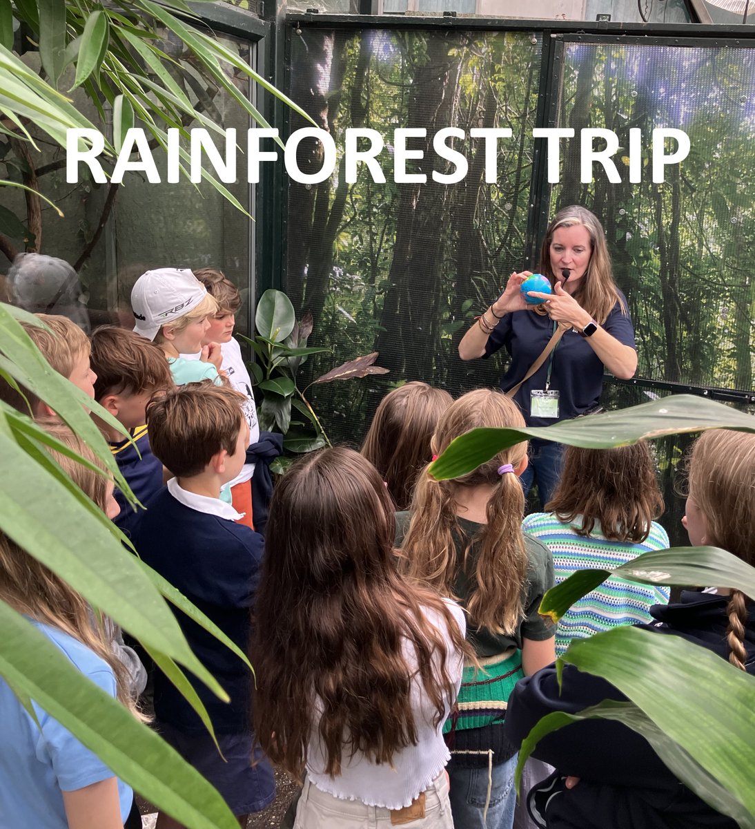 Group 3 had a fantastic trip to the Living Rainforest in Thatcham. They enjoyed seeing an array of animals including Cinnamon the sloth, an armadillo, toucan, marmoset, sting ray and iguana. 

#schooltrip #rainforest #becurious #learnaboutanimals❤️ #bedalesprep
