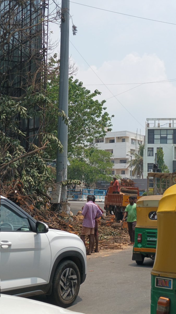 Yet another mighty tree 🌳 succumbs to the gusty winds 💨 at Mehkri Circle #BengaluruRains #NorthBengaluru #Bengaluru