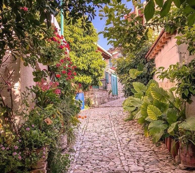 Time to explore Lania’s lanes and courtyards | Cyprus Mail cyprus-mail.com/2024/05/11/tim…