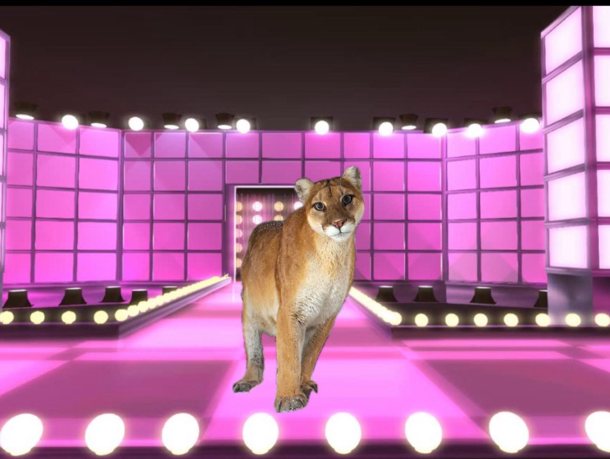 her as a guest judge on drag race when?????