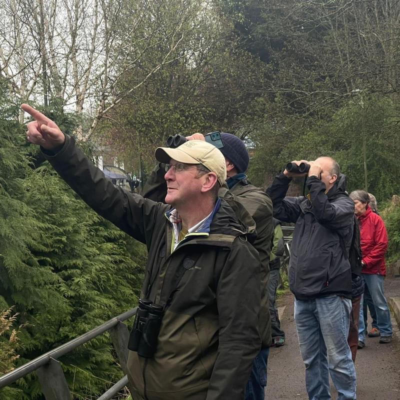 Our birding enthusiasts were up with the birds last Saturday morning to take a walk through the Den to enjoy the dawn chorus. Afterwards, some of our Action for Nature volunteers put up nesting boxes, nearby the Kirriemuir Scout Hut, which had been made recently by the Scouts.