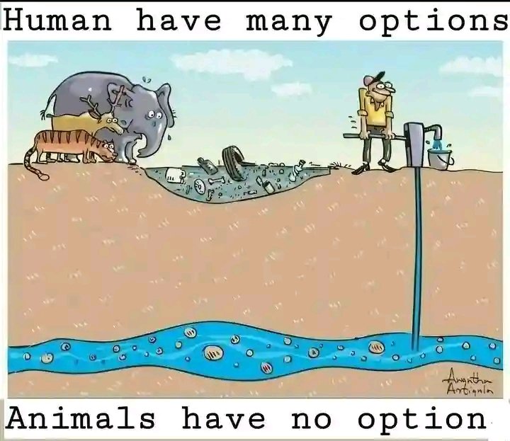 Sad Reality, .🦩🦏🦛🦒🐆🐅🐒🦘🦘🦍🐃🐃
Art credit, Anwantha  Arthigala
#AnimalJustice
#climatejustice