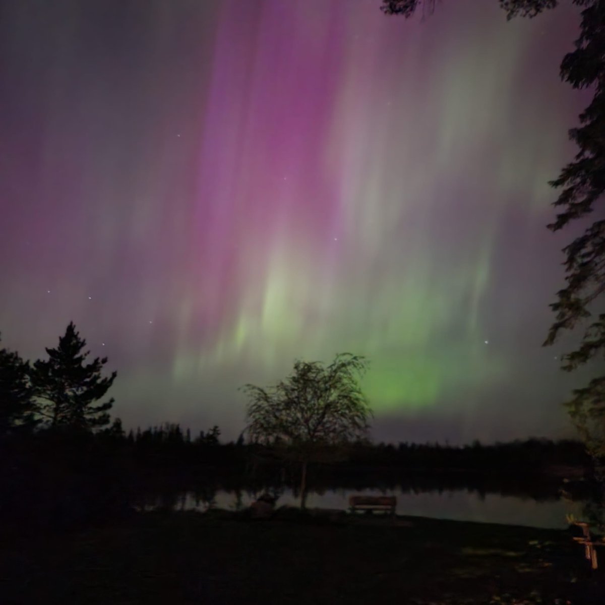 What a show!
#Auroraborealis 
#AuroraBoreal 
#auroreboreale 
#NorthernLights 
#solarstorm 
#OnTheHorizon 
#Ontario
#westgrey