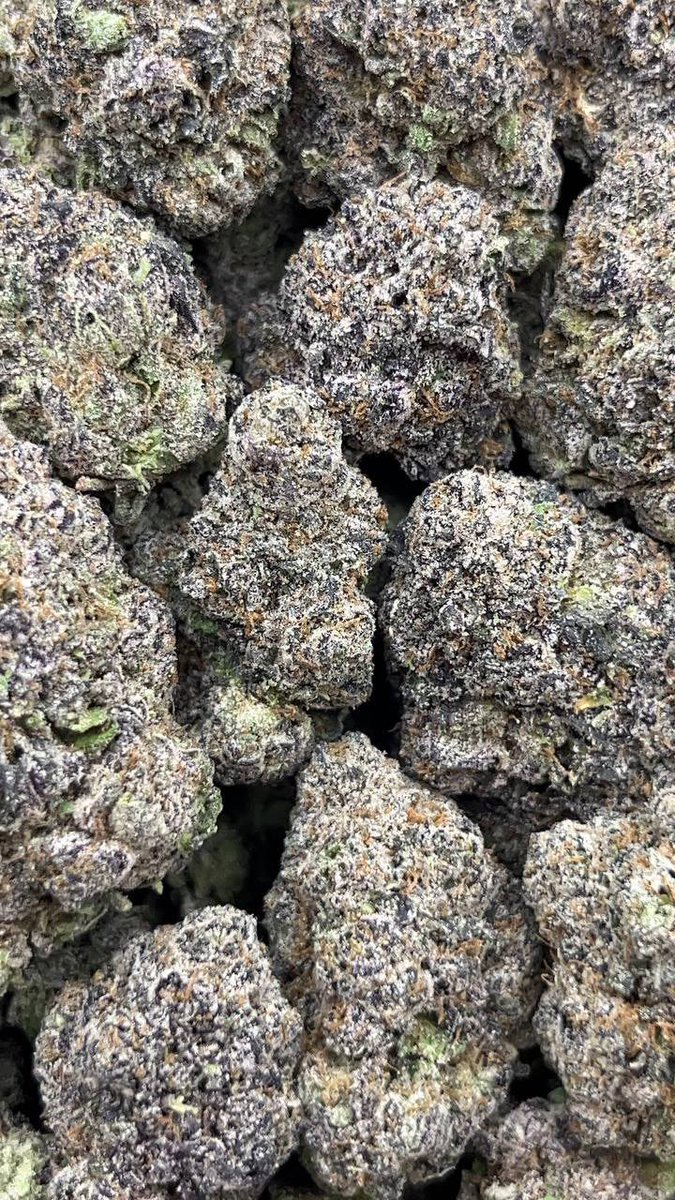 danehemps's tweet photo. MOCHI RUNTZ

1LB : 1500
HP : 775
QP : 400
https://t.co/8lsfadz0I6

#texasfreaks #dallasfreaks
#dallassneakylink #dallasmeetups #rvafreaks #dmvfreaks #pgfreaks
#bmorefreaks #vafreaks #804freaks
#757freaks #dcfreaks #hamptonfreaks #richmondmeetups #baltimorefreaks #cltfreaks #gas https://t.co/An3QalfeYi