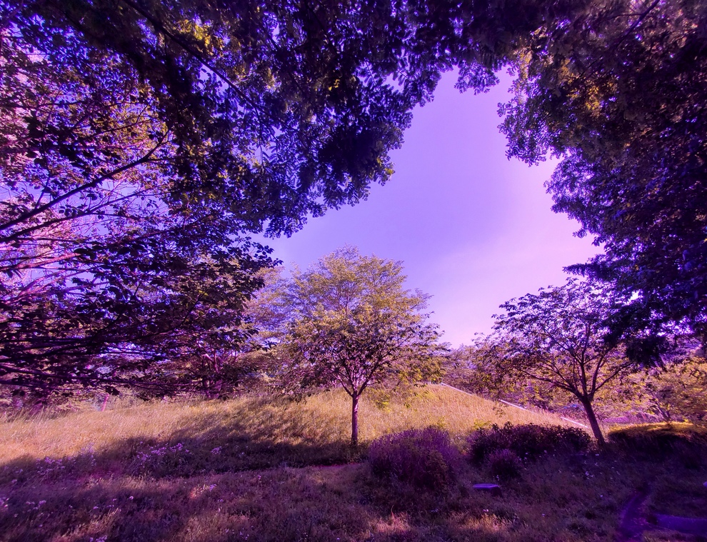 語りかけてもらったみたいだ🌳