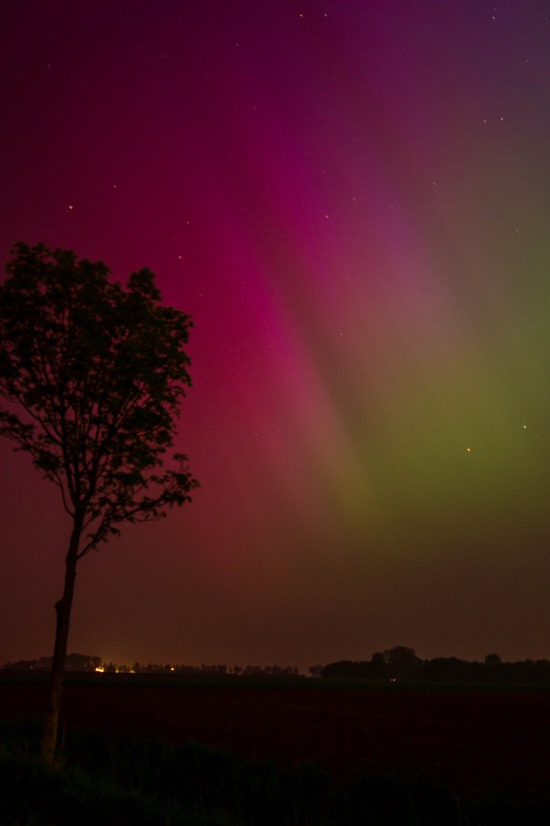 Wilbert den Besten tweet media