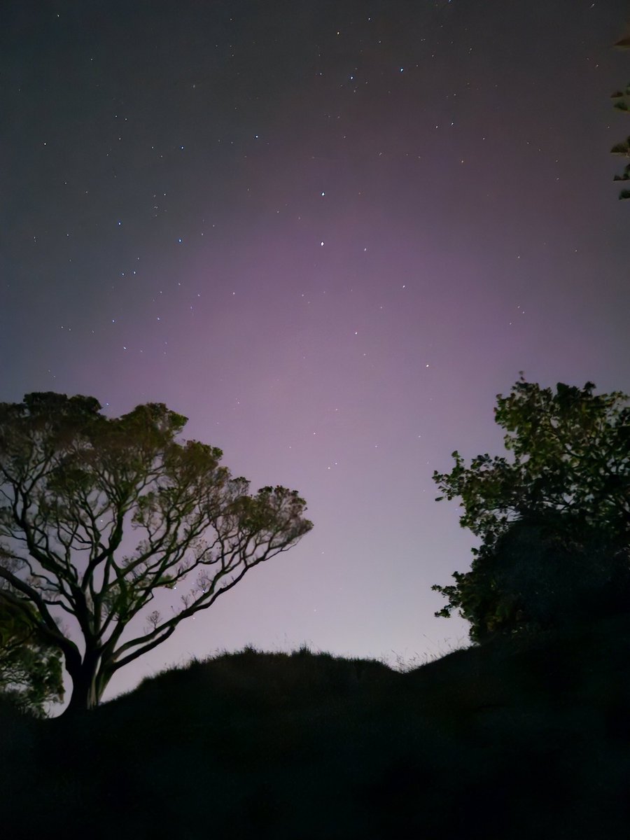 Tim McCready tweet media