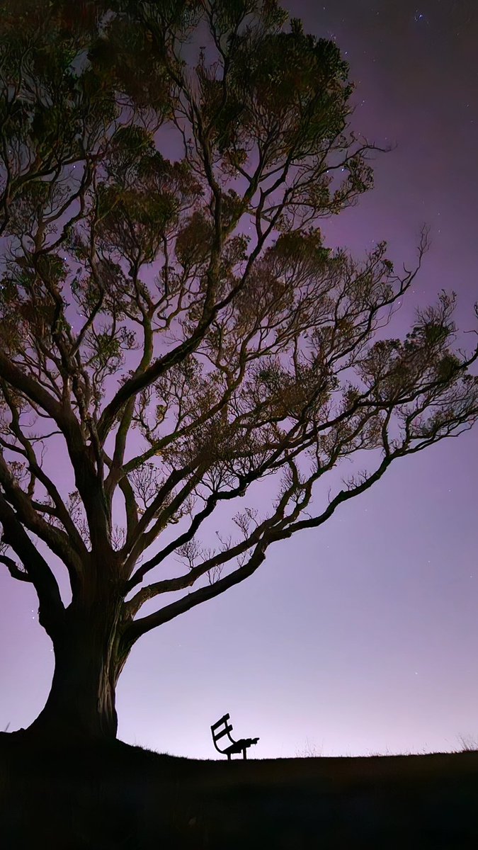 Not bad Auckland. Not bad.