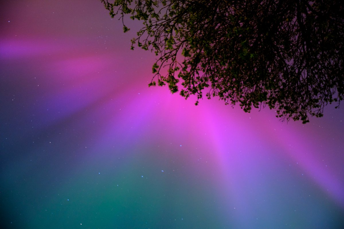 andyp_dx's tweet image. A few of my #aurora #auroraborealis #auroracorona photos from #Telford #Shropshire lastnight. A aurora substorm was still even going at 2.30am wow, just wow. #loveukweather #loveukspaceweather