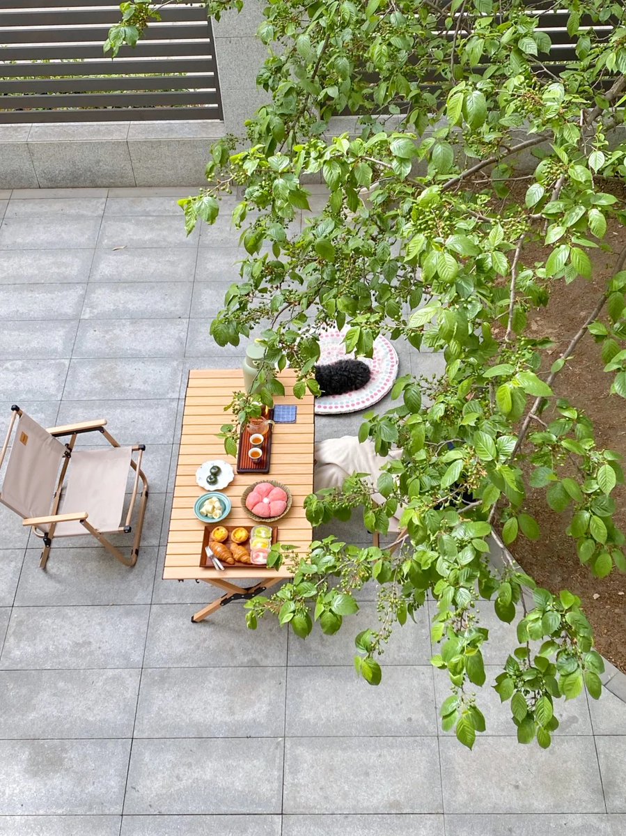 011Flopy's tweet image. "Not only the day, but everything has a morning."