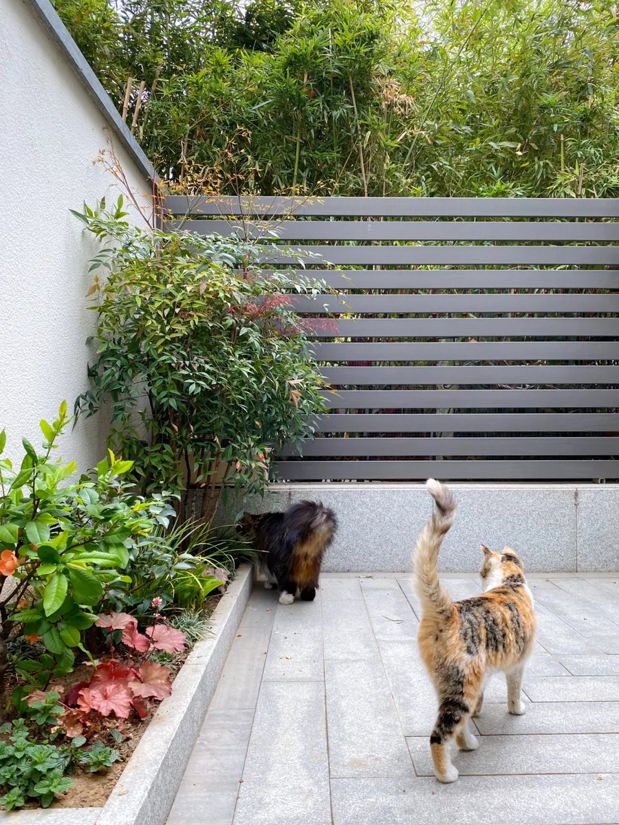 011Flopy's tweet image. "Not only the day, but everything has a morning."