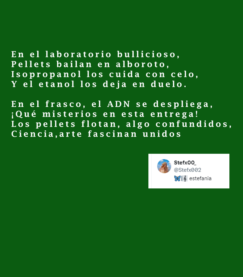 Bctuab's tweet photo. El passat 30/04 es va conèixer el poema guanyador del #RhymeScience 2024 promogut per @the_prbb.
Un #haiku a les lletres de la vida de la @sandramgarcia83.
Però a nosaltres ens encanten també la #CiènciaiPoesia de @Stefx002 i @LimaMetabolomic!
@lauramorron @CristinaSopena1 https://t.co/ROyZdfSLJK