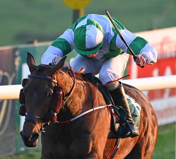 Sansrisk ridden by Finny Maguire won last night’s bumper @DownpatrickRace 📸 healyracing.ie