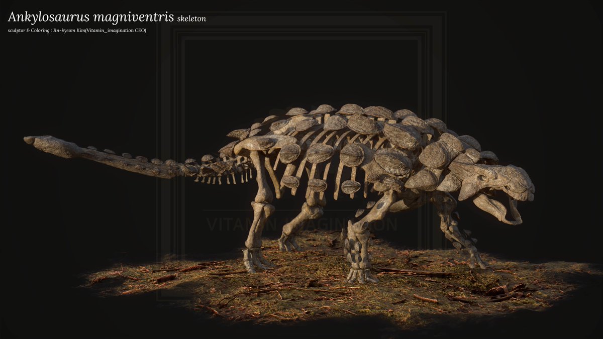 Made the full-body skeleton of Ankylosaurus magniventris, the largest of the armor dinosaurs and surviving to the end. 

The next batter is the giant pterosaur Quetzalcoatlus northropi

#skeleton #Ankylosaurus #trex #Quetzalcoatlus #Ankylosauria #Pterosauria