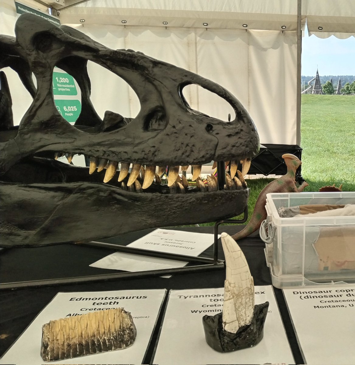 Dinosaurs in sunny Falkirk today! Visit the Falkirk Science Festival marquee in @HelixFalkirk!