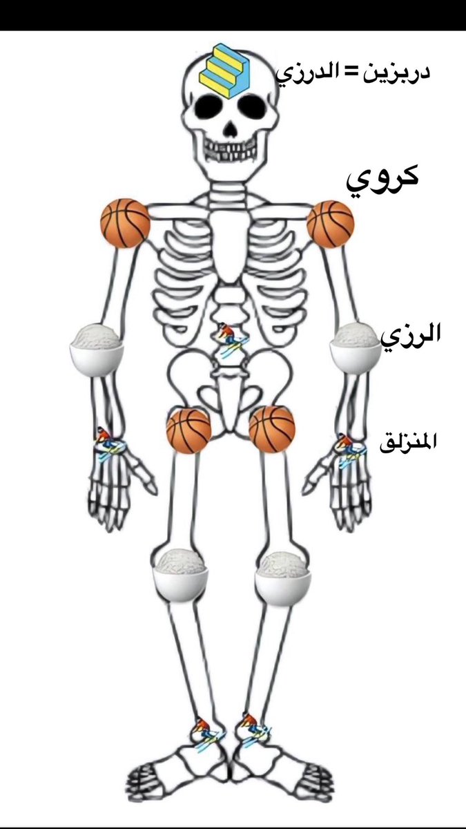 @saaddgirrrll @j9_r21 انواع المفاصل وامكانها