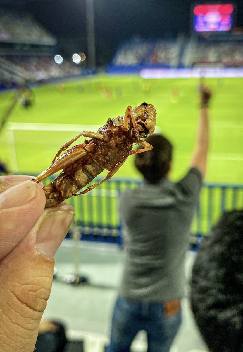 Footy Scran tweet media