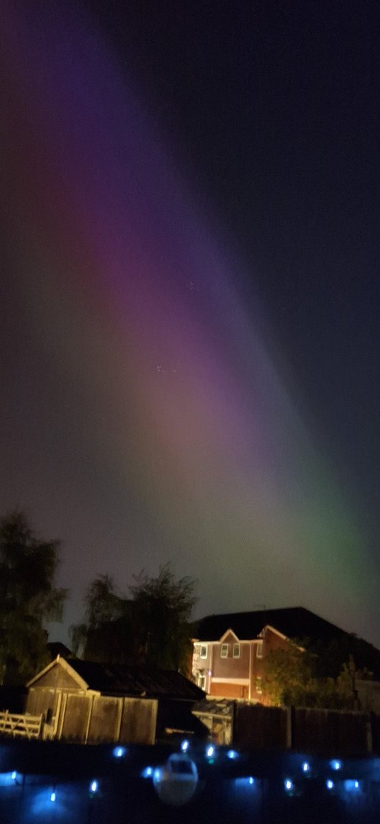 Squipper642's tweet image. 