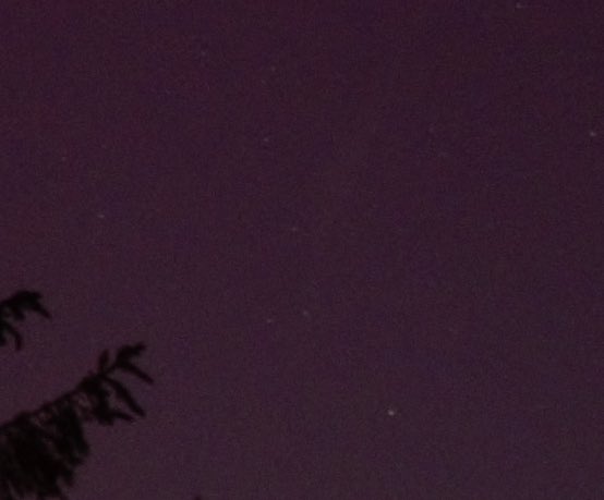 Tom Williams tweet media