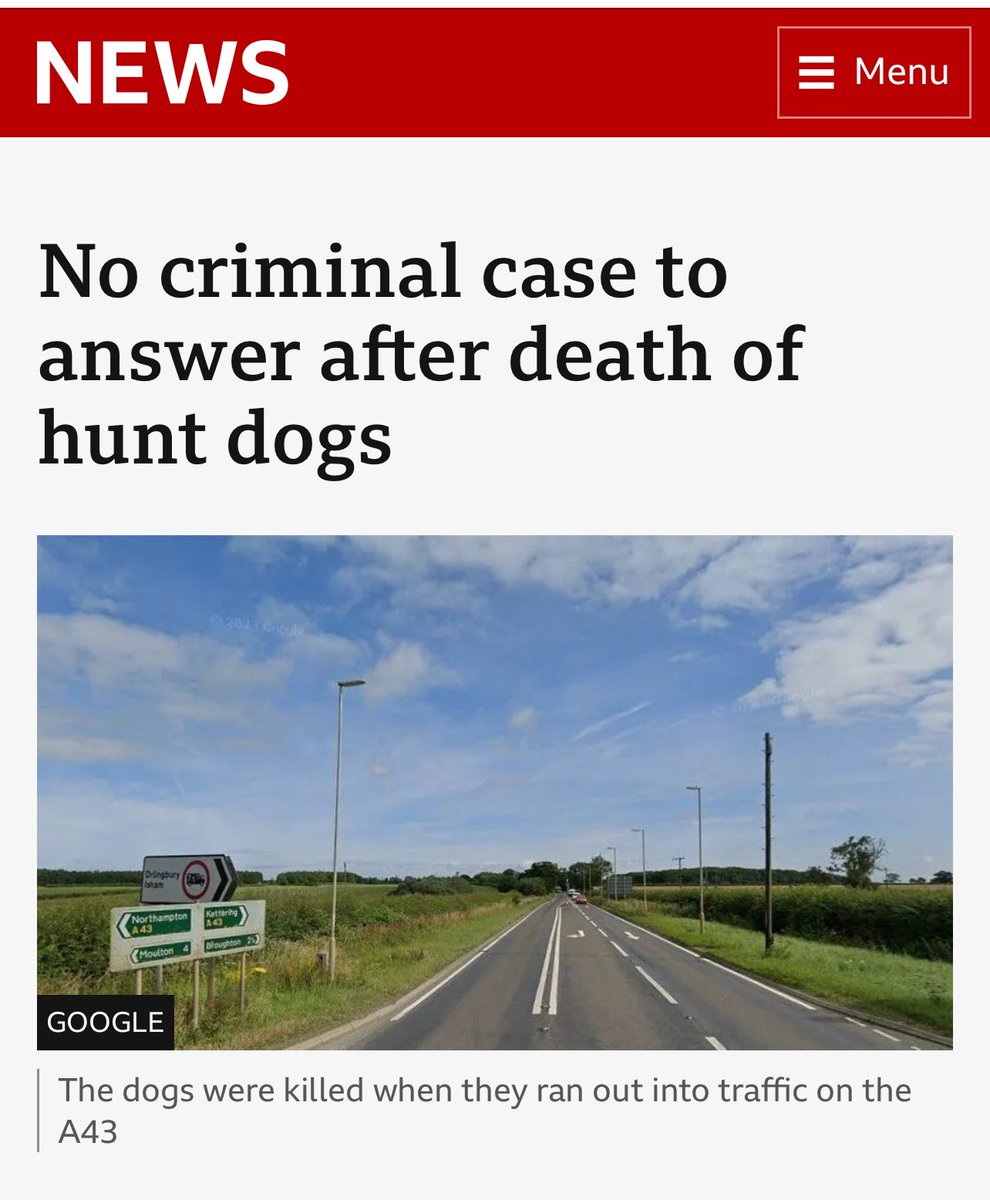 Awful. Police investigating how three dogs from a hunt came to be killed on a busy road have concluded there was no criminal wrongdoing.