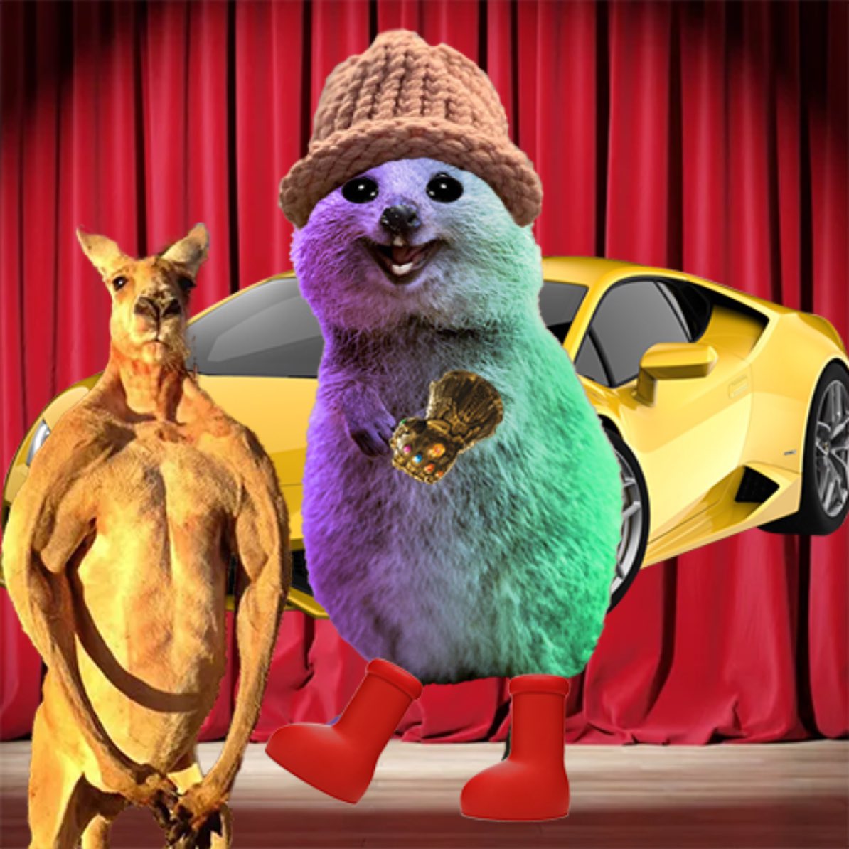 levigem's tweet photo. @dj_budsol Quokkas and roos will give me a lambo

$QUOK 

2R8LXHHY2zzNGv4vf8Dw36hZvNPYwjUbneztyp9TvSr7 https://t.co/5nuLl1oY92