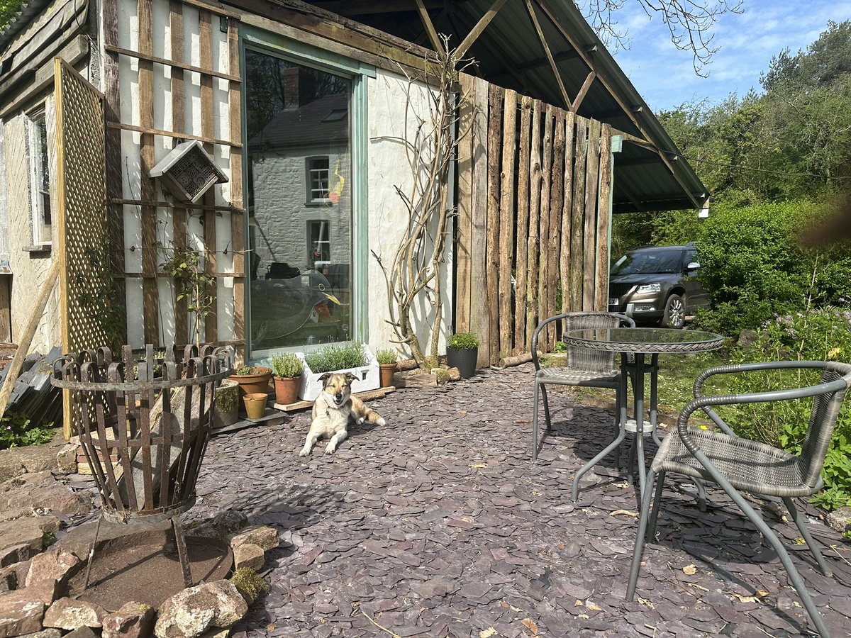 Latest patio project; trellis, planting and garage port screening, is complete. I even had another great find to use as a fire pit…. # GwylltHollow just keeps giving!