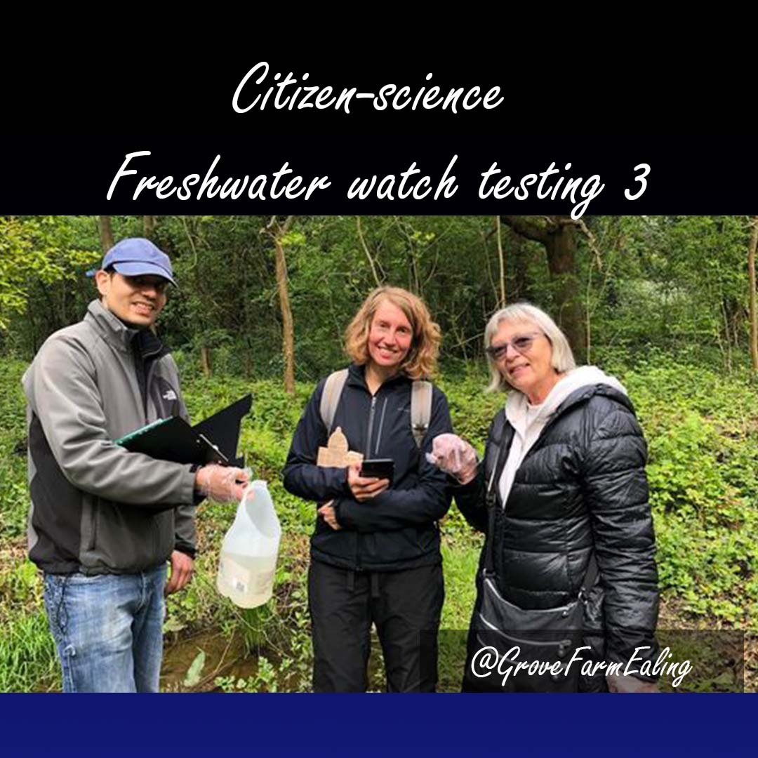 #friendsofgrovefarm are thrilled to introduce Claudia & Fiona, our newest water-warriors on our mission to safeguard our waters! 💧 Mastering water testing is not easy but they're up for the challenge! Working with @Earthwatch_Eur, #ChangeX & #Microsoft. Join us, link in bio.
