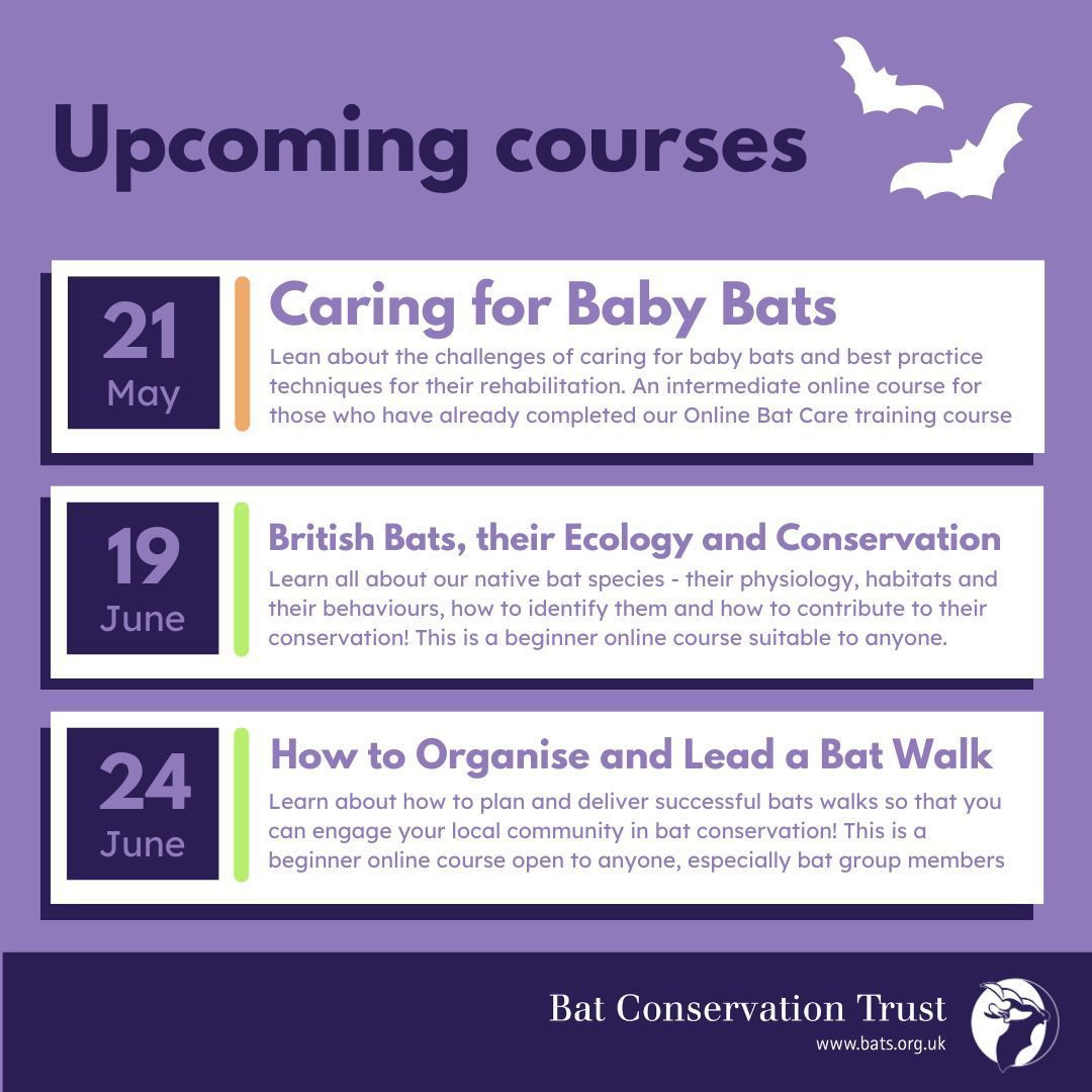 Would you like to get involved in #bat conservation? Why don't you take part in one of our fabulous courses. We cover all sorts of topics from #batcare to organising events! Take a look at our upcoming courses and book a place here: buff.ly/3JmhqS4