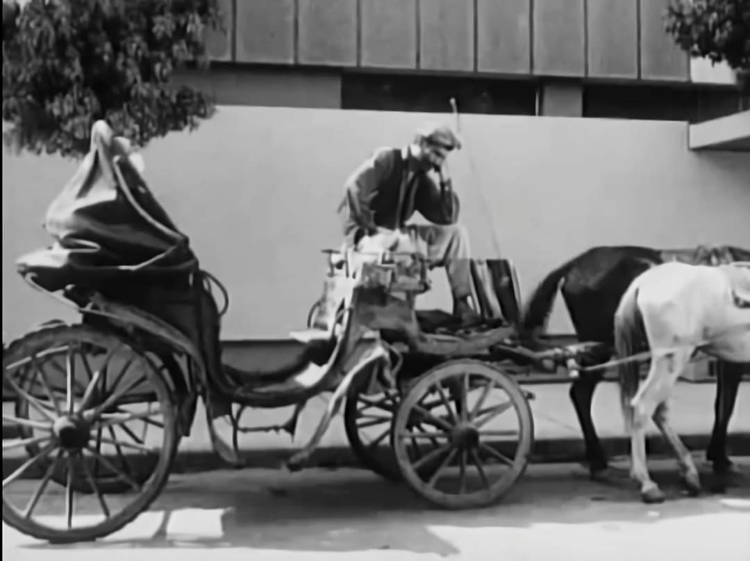 Geçmiş zaman olur ki Adana 1970'de Sun Sineması; Arabacı Cabbar...