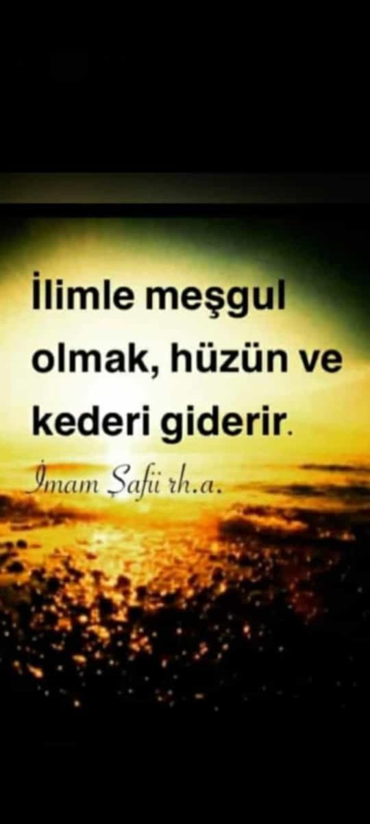 Nesrin (@yonca12341234) on Twitter photo 