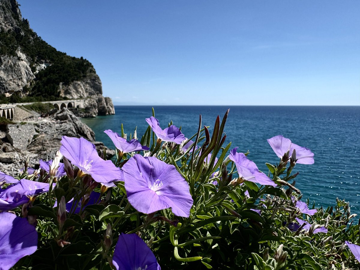 Aggrapparsi alla roccia per vedere il mare