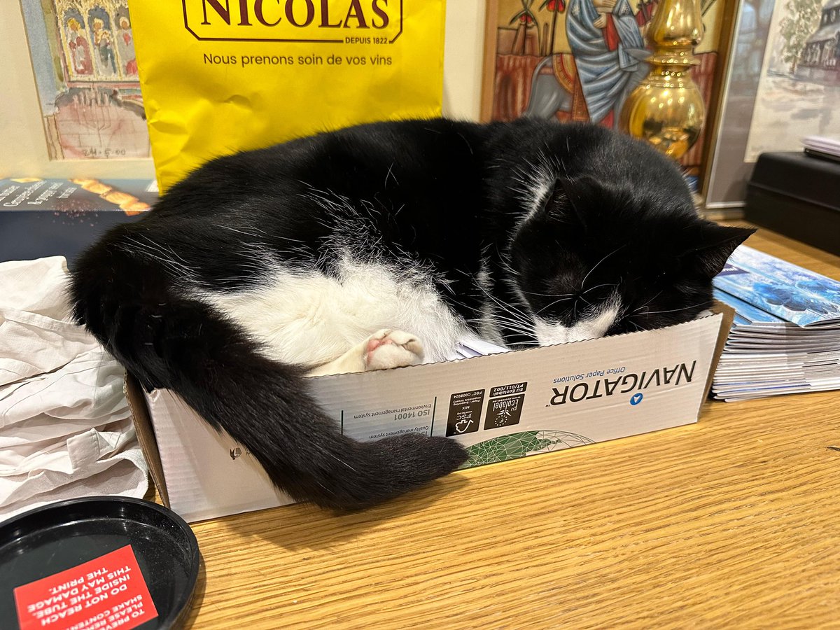 #Caturday with added box