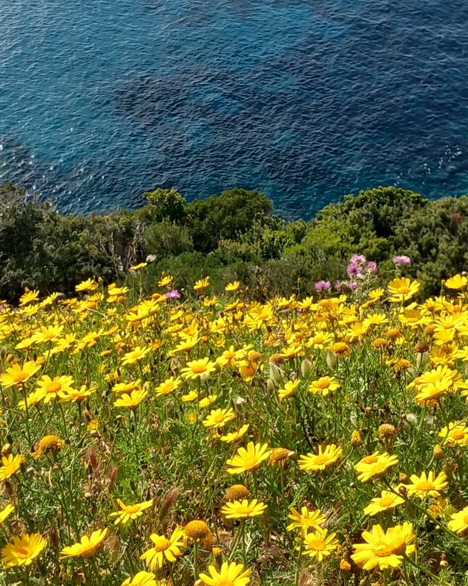 #isoladelba #Toscana