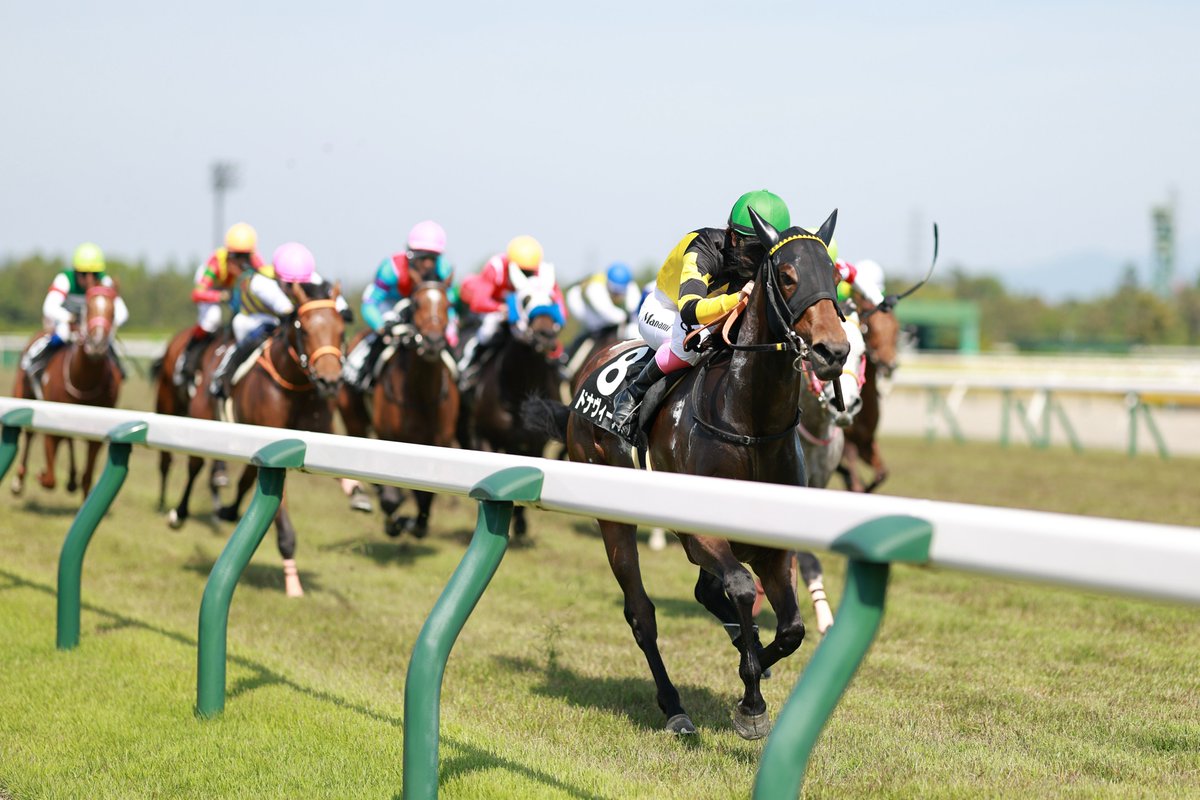 ドナヴィーナス
はやぶさ賞
まなみんファン各位
#競馬 #新潟競馬場 #写真 #eosr3 #キヤノン