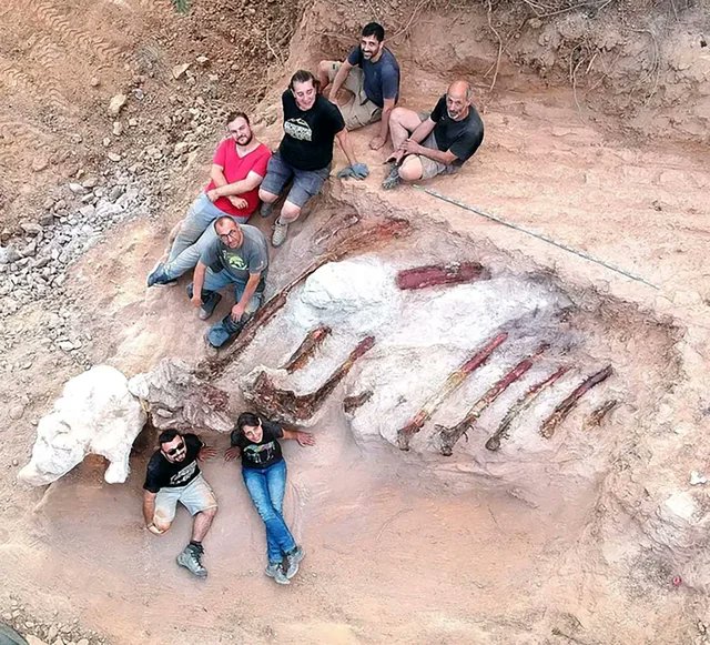 The ribcage of an 80 feet long dinosaur found in a man's backyard in Portugal believed to be from more than 100 million years ago.

[📸 University of Lisbon]