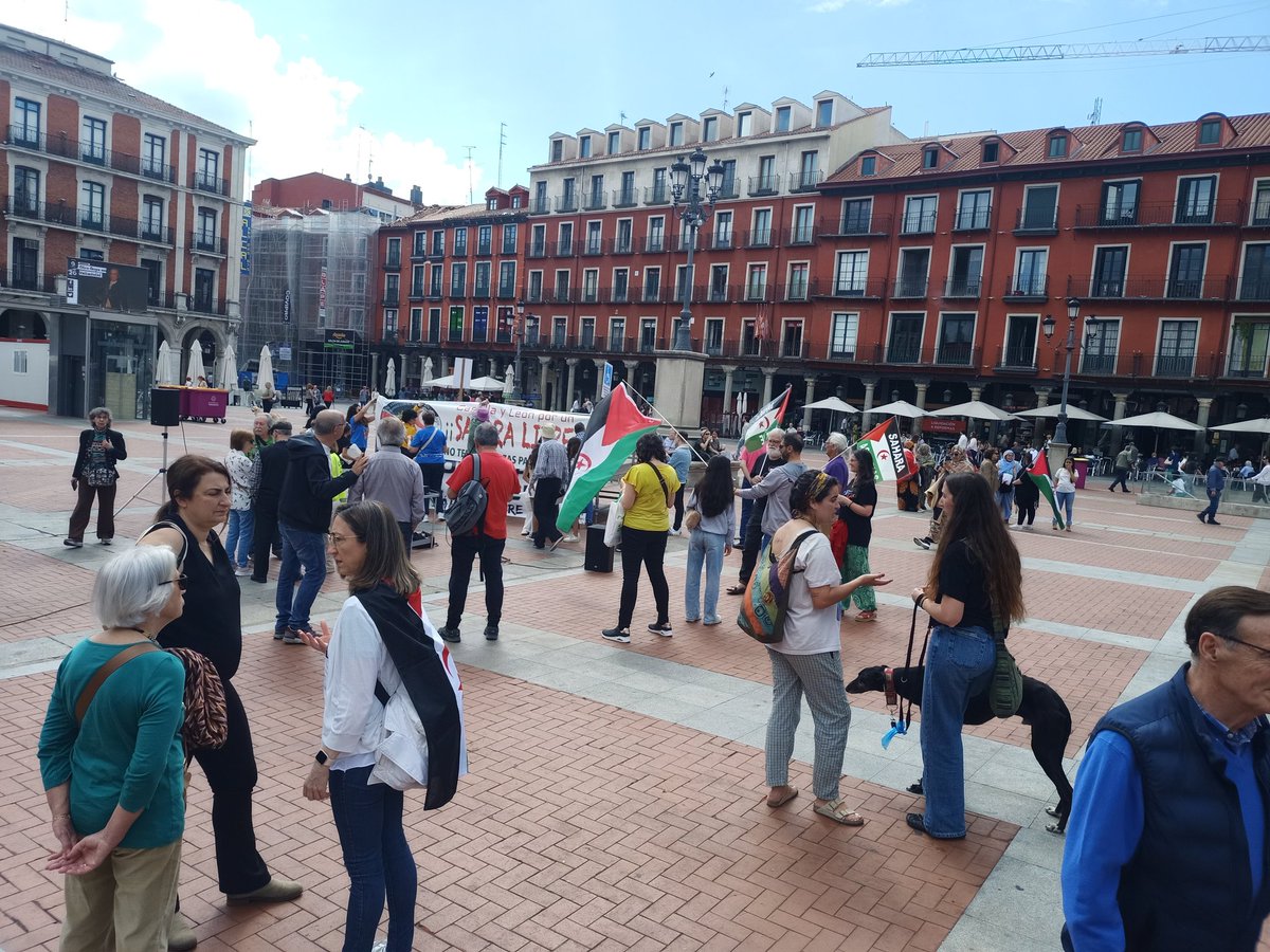 ¡Castilla y León por un Sáhara libre! En representación de @iucyl en la concentración en Valladolid por el pueblo saharaui. 🇪🇭 ✊🏻