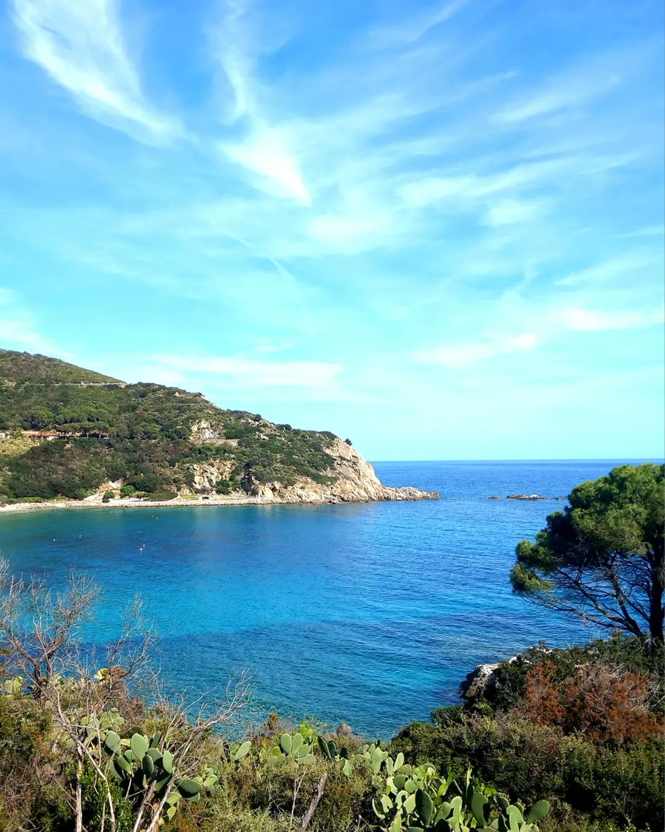 'Al mondo non c'è altro che questa luce, il verde, la terra (e il mare!). Solo a godermi le carezze del sole voglio pensare, e a scrivere.'
#citazioni da Giallo come le rose #elisonpublishing #ioleggo #librichepassione #booklovers #isoladelba #Toscana