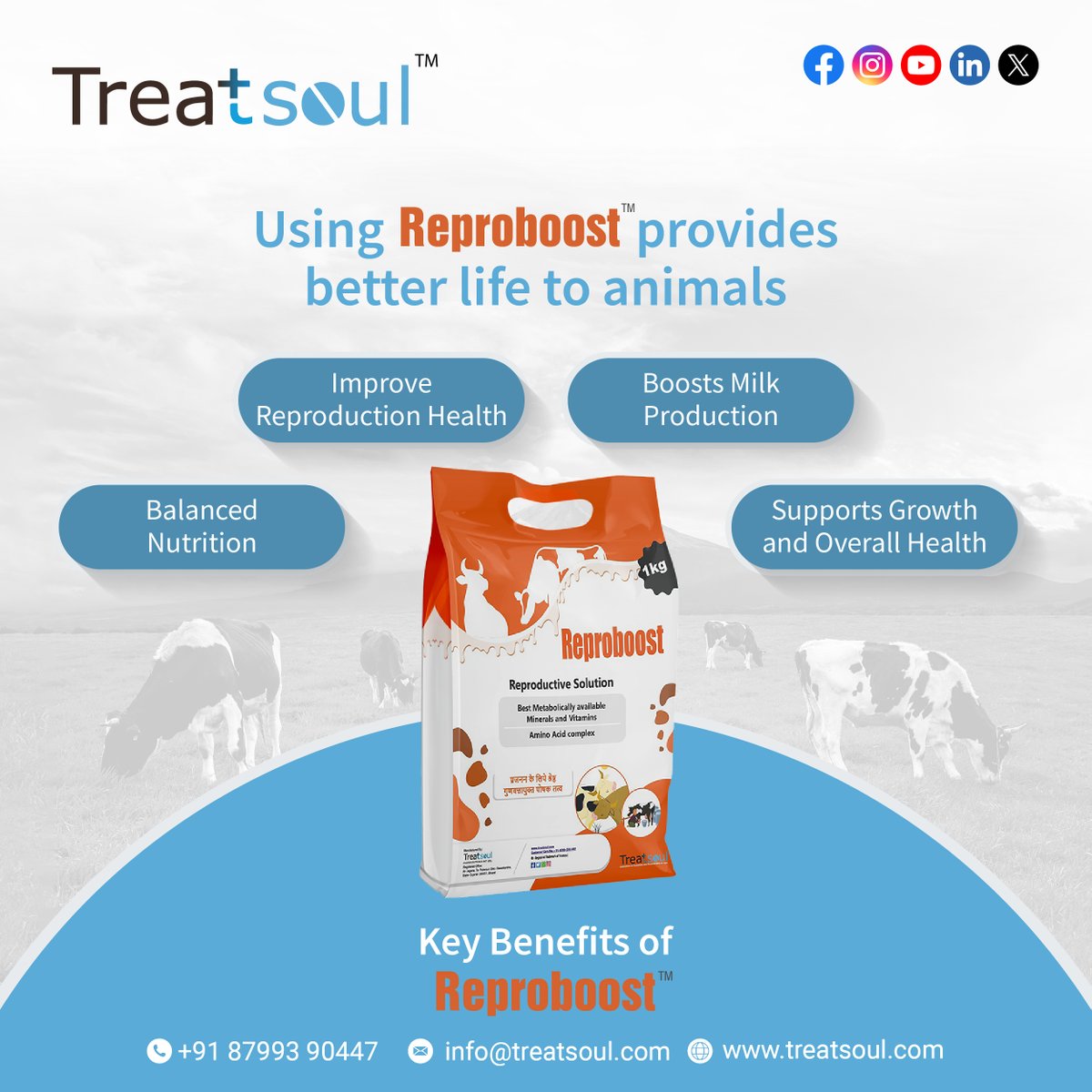 Experience the transformative power of Reproboost, a meticulously crafted nutrition solution designed to elevate every aspect of your animals' well-being.

#Reproboost #AnimalWellBeing #BalancedNutrition #ReproductiveHealth #MilkProduction #HealthyAnimals #treatsoulpharma