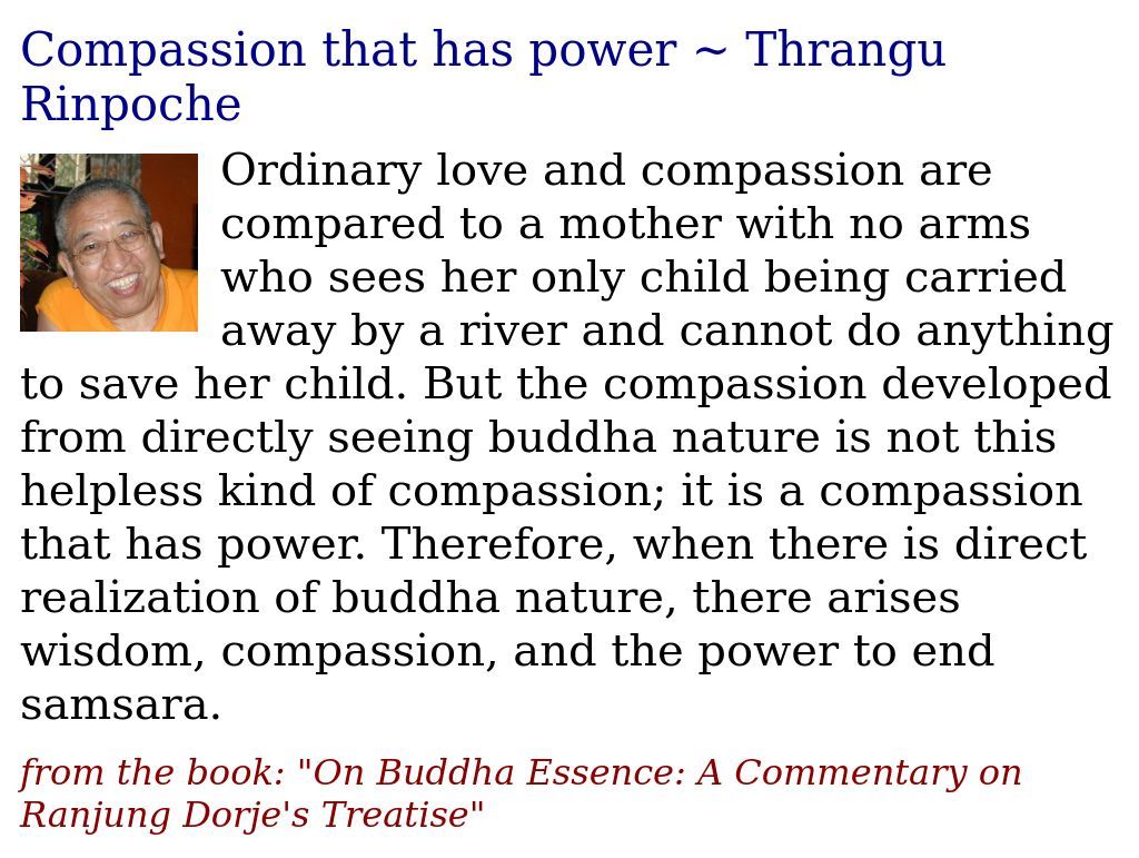 Compassion that has power ~ Thrangu Rinpoche justdharma.org/compassion-tha…