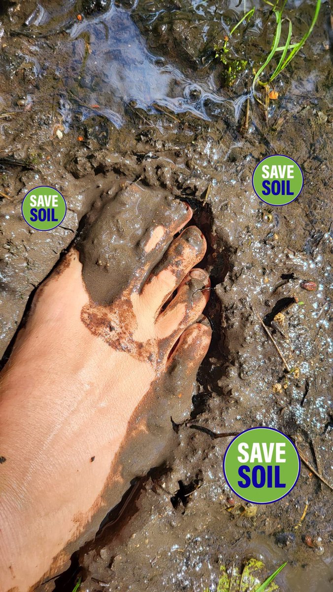 There’s magic beneath our feet! #SaveSoil #UNited4land @SDG2030 @EUgreendeal @cpsavesoil