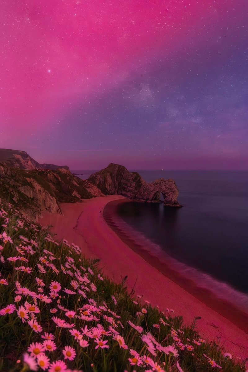 Durdle Door with the Northern lights 

This may be my favourite photo I’ve ever taken! 😮 

The flowers, the Milky Way, the Aurora Borealis and Durdle Door in the early hours of this morning, with the symmetry of the colours in the sky and the curve of the clifftop &amp; beach 

📸