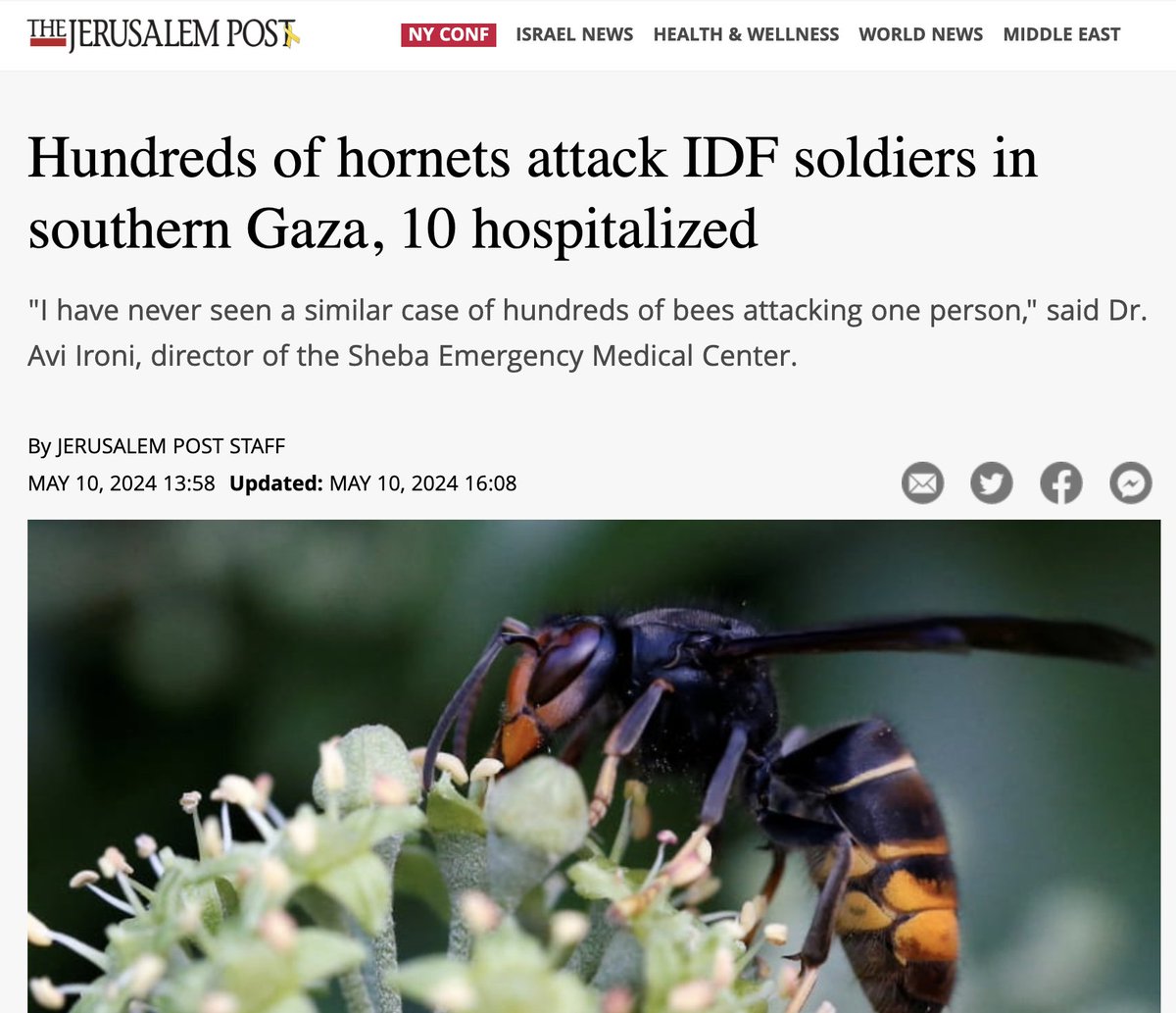 'Soldiers had been attacked by wild dogs in the early stages of the invasion, leading to a mass cull of dogs in the Gaza Strip to prevent the spread of disease and prevent the dogs from crossing into Israel and exposing Israeli dogs to rabies or other diseases.'