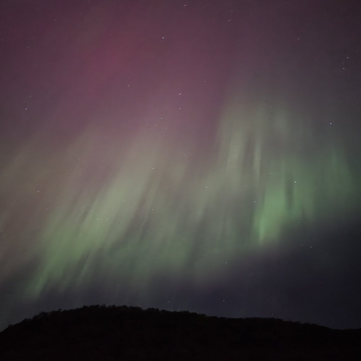 GGSoFly's tweet image. Northern Lights seen from Houston County, Minnesota 🌌