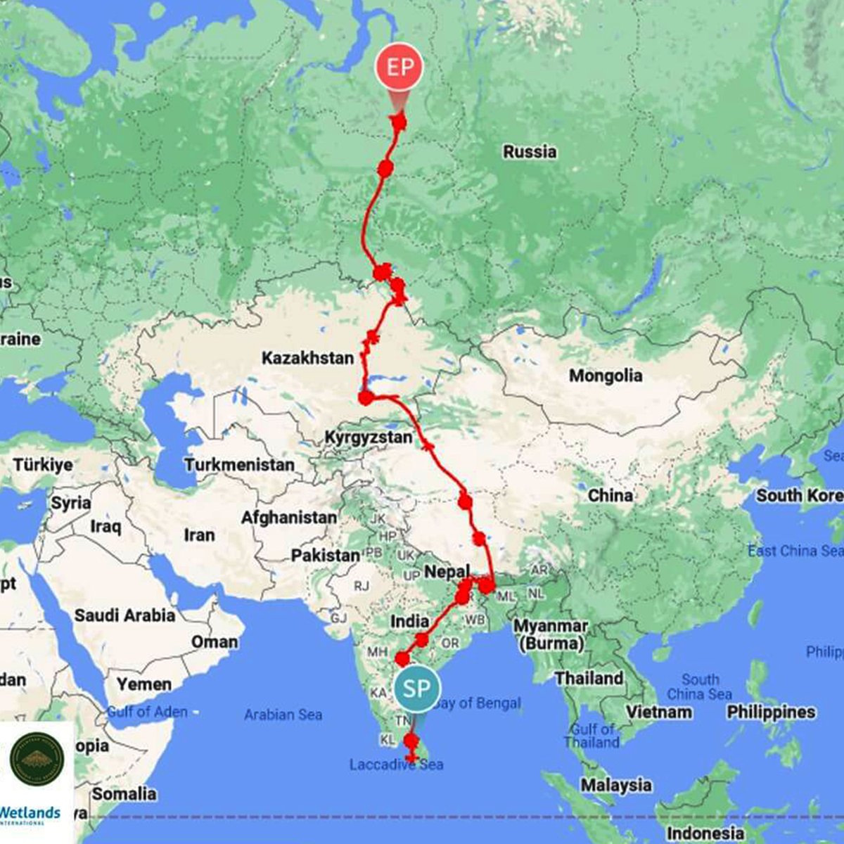 ColomboUni's tweet photo. Sri Lanka's First Tagged Shorebird Embarks on Journey to Northern Russia: Vayu Completes a 9700 km Journey Through Seven Asian Countries in 57 Days.
https://t.co/KXTm5lPf5I
#VayuMigration #BirdTracking #AsianBirdMigration #WaterbirdResearch #CentralAsianFlyway #SriLankaWildlife https://t.co/FXms2MC6KB