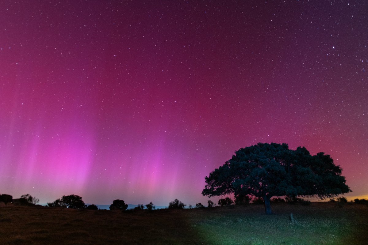 Más fotos de las #AurorasBoreales en Extremadura, y por nuestra dehesa. ¡Menuda gozada! 1️⃣ Casar de Cáceres (Cáceres) 📸 @jaimecarretero_ 2️⃣ Jaraíz de la Vera (Cáceres) 📸 @Juanhann64 3️⃣ Casas de Belvís (Cáceres) 📸 @Pa6lo_