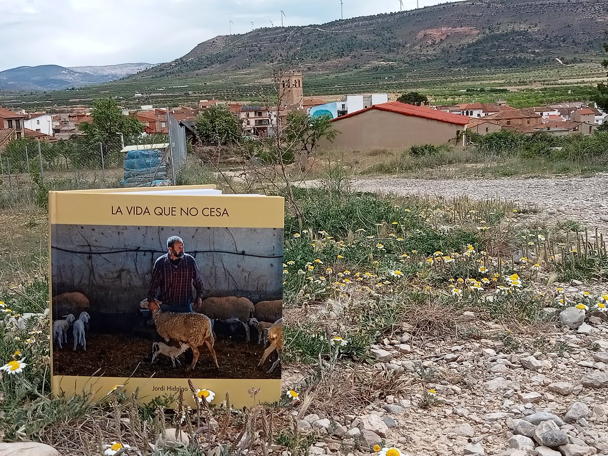 BellochAngels's tweet photo. #Repte52llibres2024 33/52 "La vida que no cesa" de Jordi Hidalgo @FundacionElOlmo #Arasdelosolmos Llibre fotogràfic sobre el pastereig en aquest poble dels #Serrans @ArasdelosOlmos1 https://t.co/SwcAhpn2vm