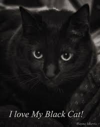 Happy #Caturday #BlackCats