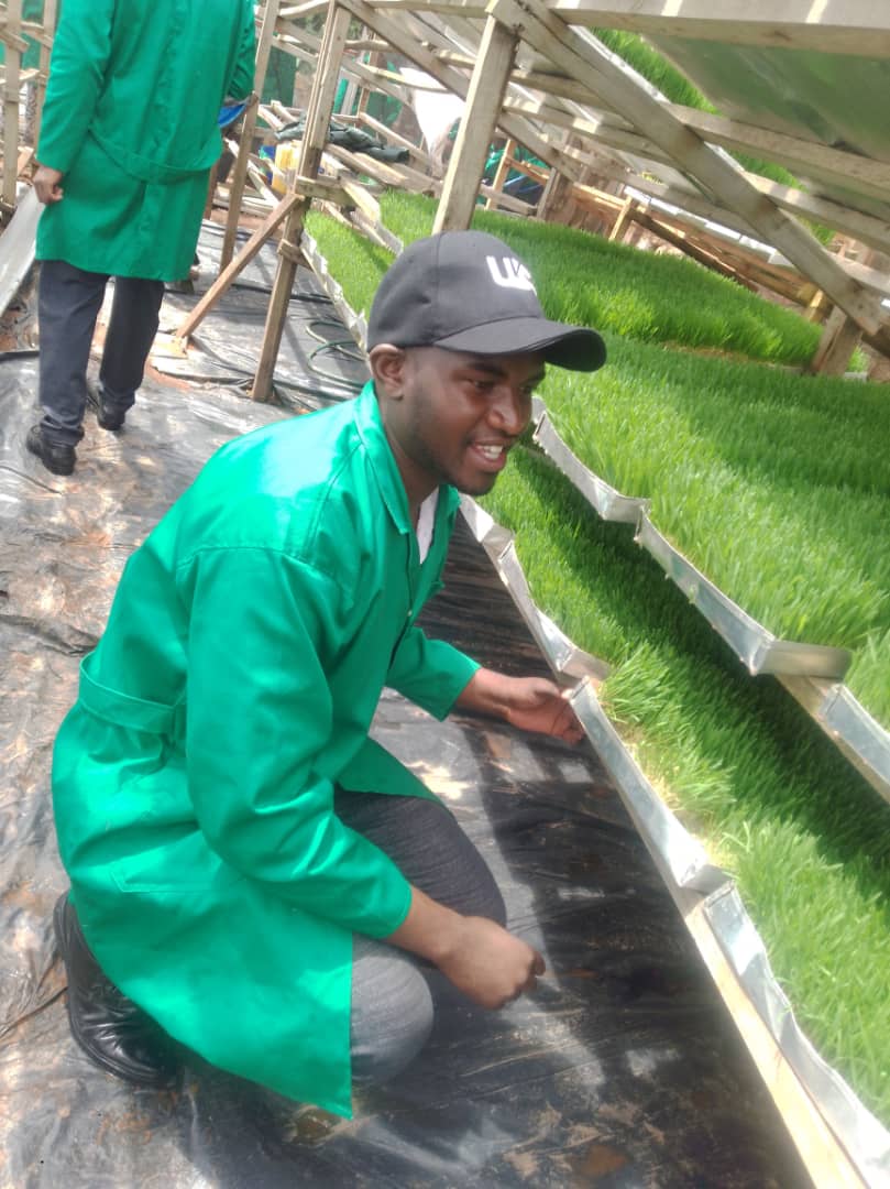 TurikubwimanaG's tweet photo. Another day, another #opportunity 
I am pleasure to attend @#hydroponicfoddertechnology training at @uruhimbi in partnership with @MastercardFdn 
#Hydroponicfodder production Need no #soil, no #inputs except water. https://t.co/GH887phPnH