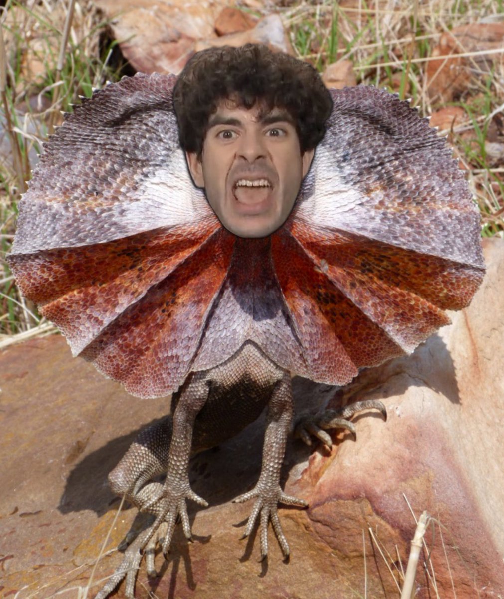 On this weeks episode you’ll find out what spurred Allana to photoshop Tony Khan on a frilled neck lizard. 

New episodes drop every Monday!