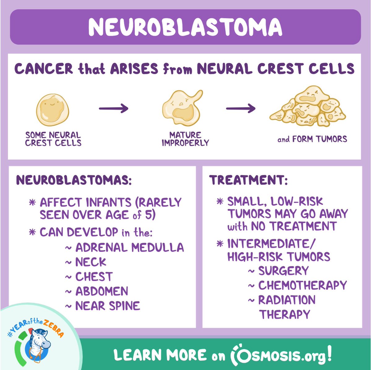 Neuroblastoma @OsmosisMed #MedEd #MedX